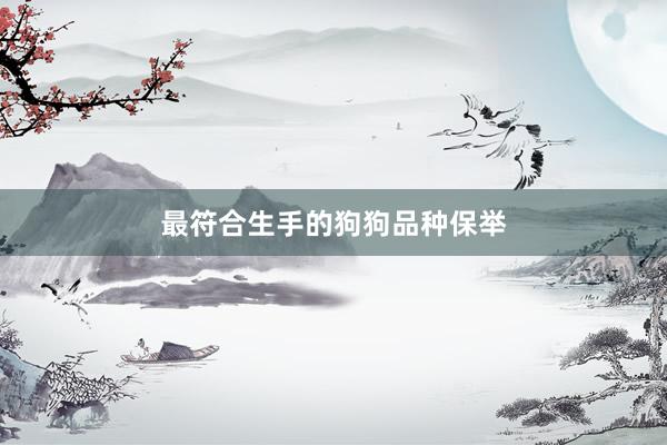最符合生手的狗狗品种保举