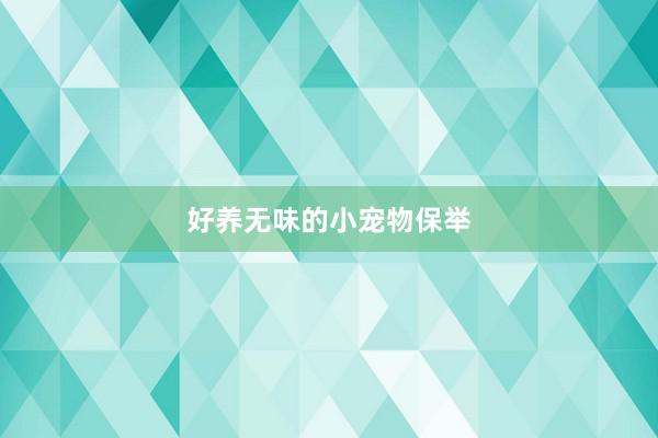 好养无味的小宠物保举